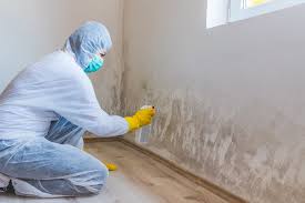 Mold Odor Removal Services in Duboistown, PA